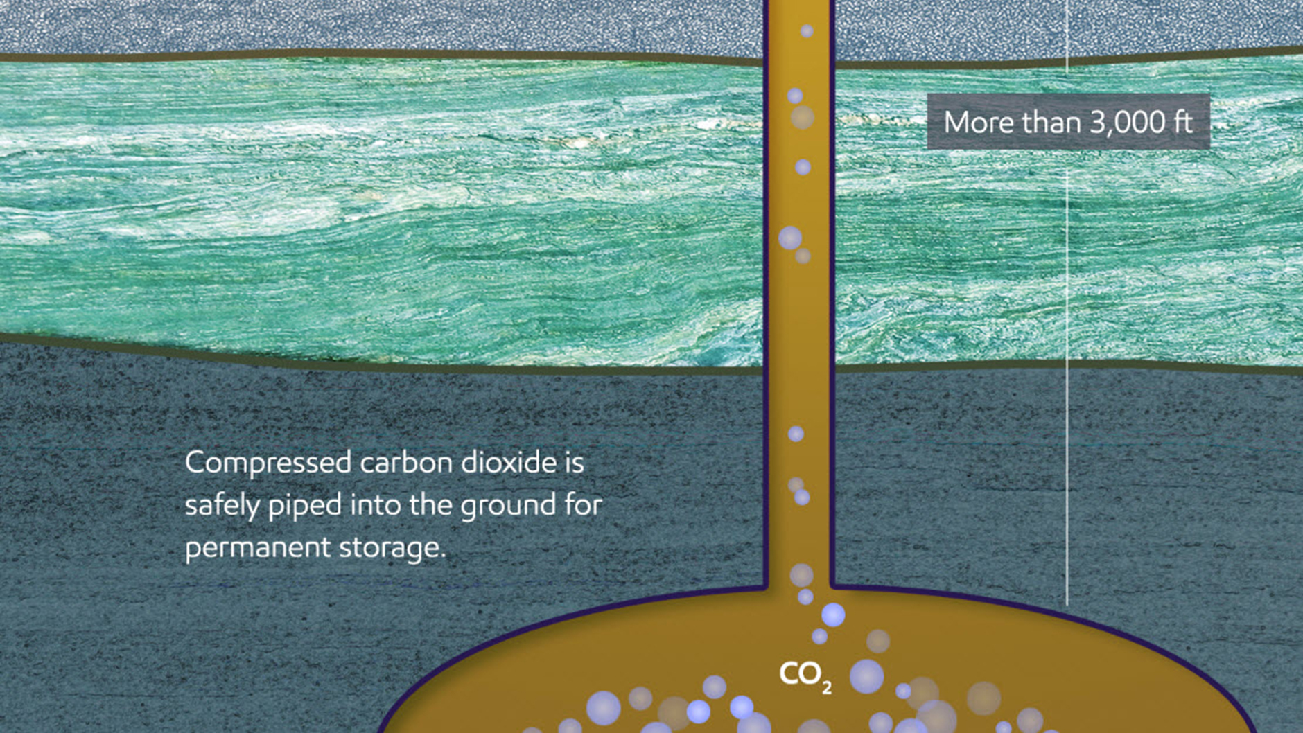 Téléchargez notre graphique ci-dessous pour en savoir plus sur le CCS