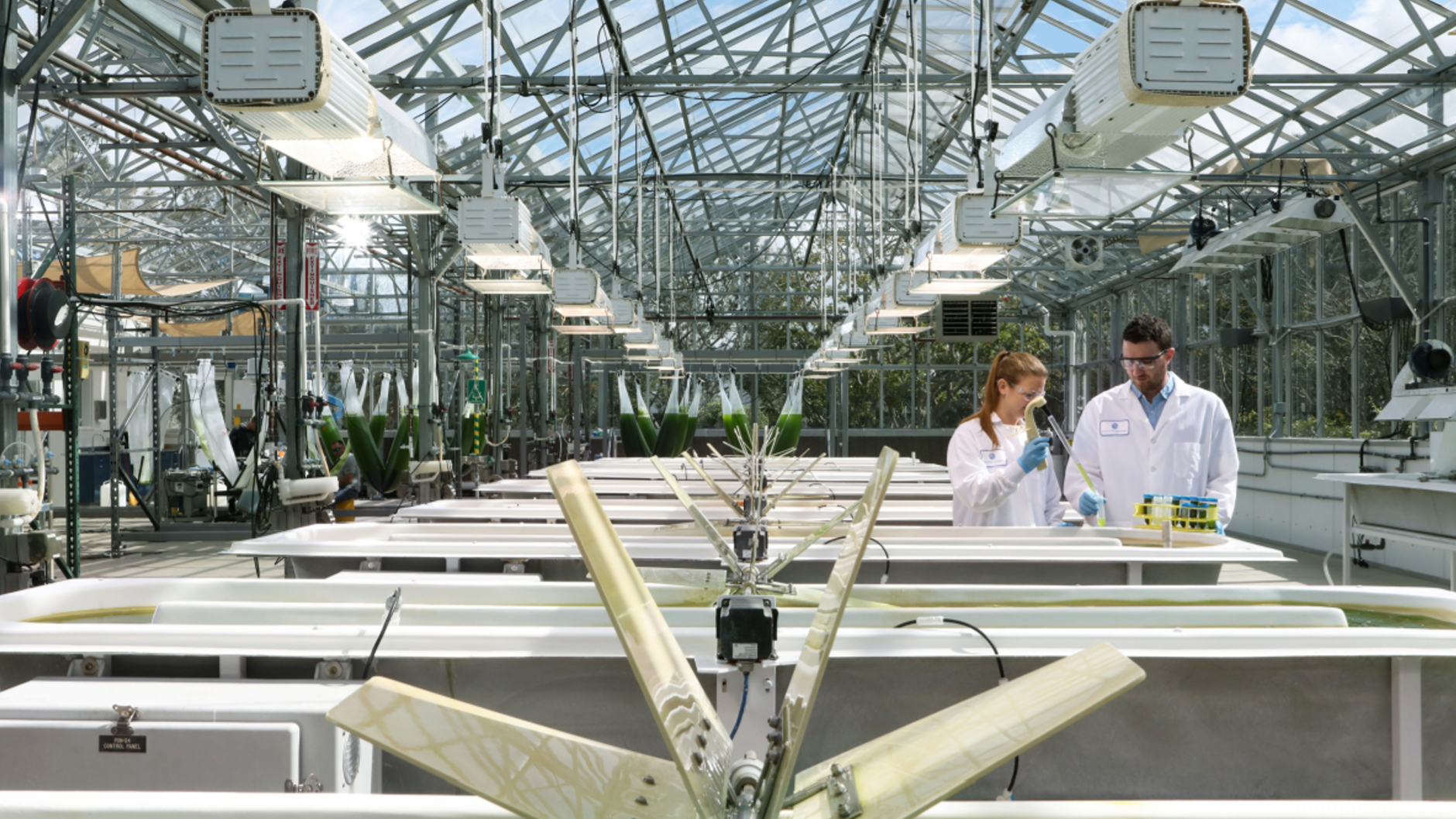 Image Photo  Synthetic Genomics' scientists use advanced cell engineering technologies